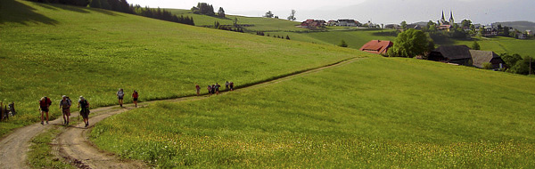 Pilgern - Beten mit den Füßen